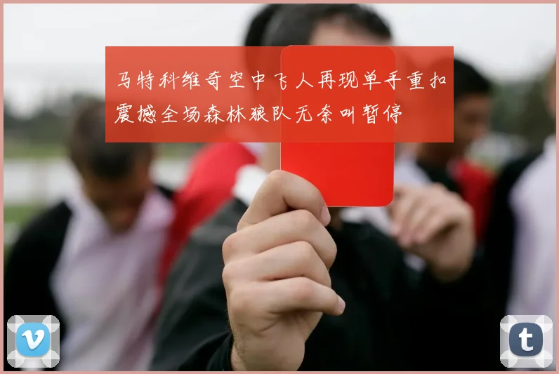 马特科维奇空中飞人再现单手重扣震撼全场森林狼队无奈叫暂停