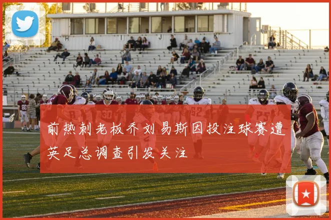 前热刺老板乔刘易斯因投注球赛遭英足总调查引发关注